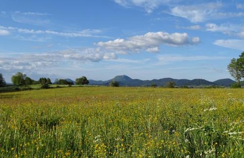 Vernines Ski Chalet | LOGIS LAS CROZAS La Cocotte