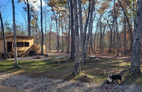 Pikeville Cabin | Loki's Lair - Cozy cabin in serene Pikeville with WiFi access