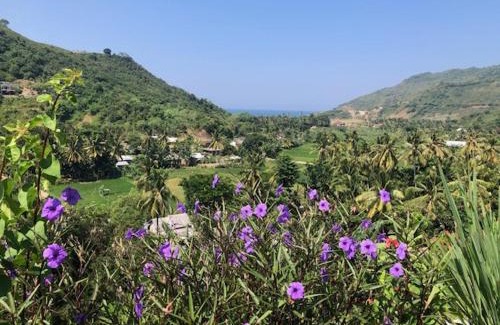 Kuta Hotel | Lombok Khophilauvillas