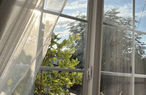 Harbor Cottage | Long Beach Backyard Guesthouse