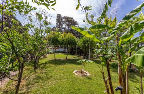 Sorso Apartment | Long Green House