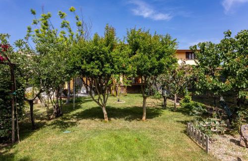 Sorso Apartment | Long Green House