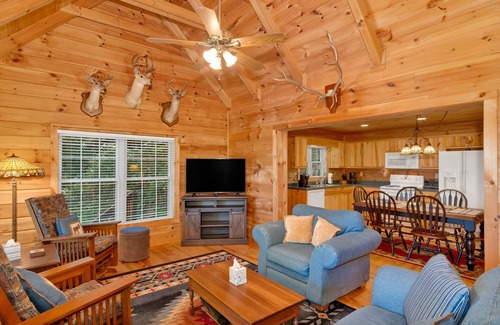Settlers Ridge Cabin | Long Mtn. Views - Covered Porch - Rockers - Fire Pit - Gated - Clean - 5 Stars!