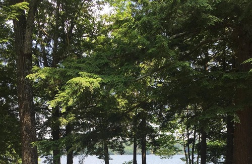 Rome House | Long Pond in Belgrade Lakes Region Maine Sleeps 12