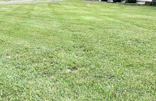 Ashley Oaks House | Long Term Rental West Knox Close to Hospitals UT Dwntn