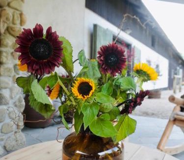 Nykvarn Bed & Breakfast | Long Valley Ranch & Lodge