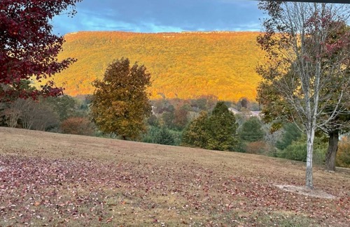Chickamauga House | Lookout Mountain Vista | 4 Bedroom Home on 3 acres | 12 miles Cloudland Canyon & Chattanooga