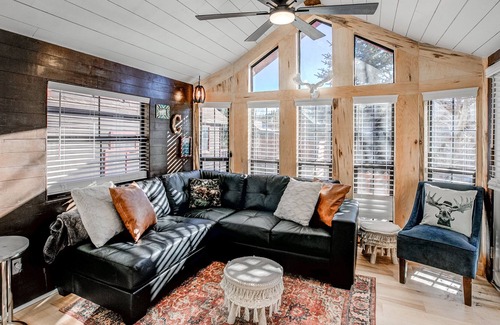 Breckenridge Cabin | Loose Moose Cabin: Dog Friendly, Outdoor Access