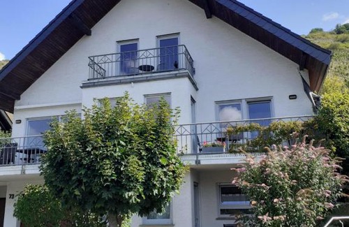 Mainz-Bingen Apartment | Lorch Lorchhausen Mittelrheintal Weltkulturerbe