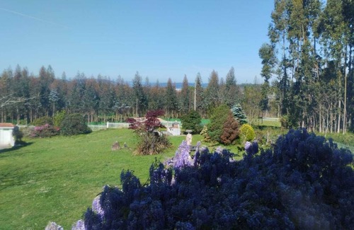 Cabanas House | LOS CEDROS