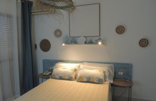 Los Alcazares Hotel | LOS NAREJOS Hotel