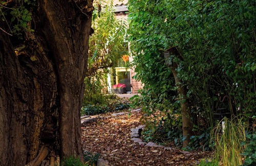 Ooltgensplaat House | Lots of peace, space and privacy At 't Oudeland