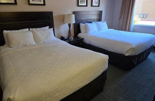 Albany Hotel | Lotus Inn