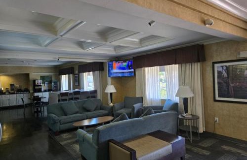 Albany Hotel | Lotus Inn