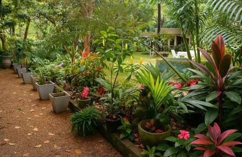 Kandy House | Lotus Mountain Retreat