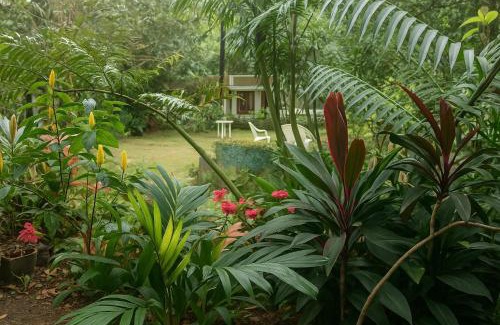 Kandy House | Lotus Mountain Retreat