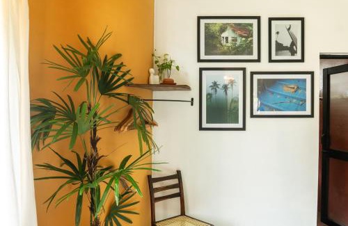 Midigama House | Lotus Surf And Wellness