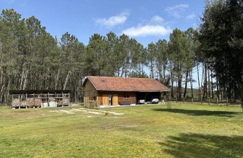 Linxe House | Lou coutiot