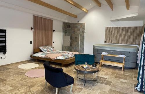 Paizay-le-Chapt Apartment | Love room