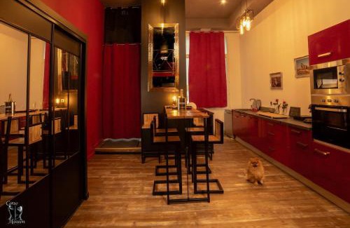 Villefranche-sur-Saone Apartment | Love Room with Dungeon, Hot Tub Private Sauna
