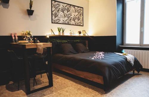 Downtown Angers Apartment | LOVE ROOM, La Douce Angevine