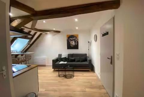 Bourges Apartment | Love Room pour une escapade romantique avec Spa privatif