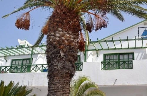 Matagorda Apartment | Lovely 1 bedroom apartment in Puerto del carmen/matogorda with beautiful pool