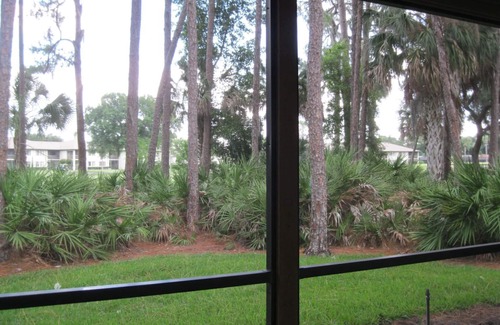 The Meadows Condo | Lovely 2 Bed 2 Bathroom Condo in a quiet lush area near the golf course