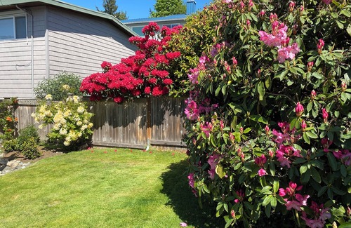 North Beach/Blue Ridge House | Lovely 4-bedroom view house in North Seattle with fitness room and beach access