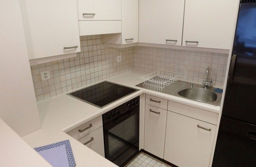 Lucerne Apartment | Lovely apartment for 3 guests with WIFI, TV and balcony