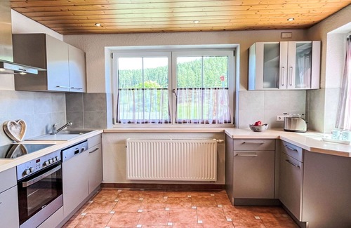 Eisenbach Apartment | Lovely apartment for 3 people with WIFI, TV, patio and pets allowed