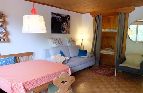 Werfenweng Apartment | Lovely Appartement with view to the Hochkönig Mountain