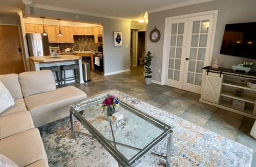 Lincoln Park Condo | Lovely Condo 5min from the Convention Center!