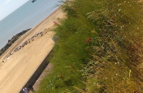 Clacton-on-Sea Apartment | Lovely, cosy 1 bedroom flat situated on the seafront of Clacton on Sea