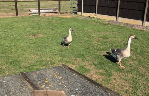 Elkesley House | Lovely double room and huge bathroom in comfortable Farm House
