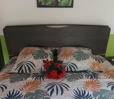 Mount Lavinia Bed & Breakfast | Lovely FLowers in Mount Lavinia