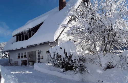 Eisenbach Apartment | Lovely furnished apartment within minutes of forest, ski lift