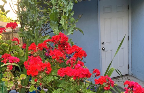 Crocker Apartment | Lovely Garden Retreat Near Bart and Shops
