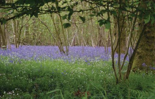 Hames-Boucres House | Lovely Home In Hames Boucres With Wifi