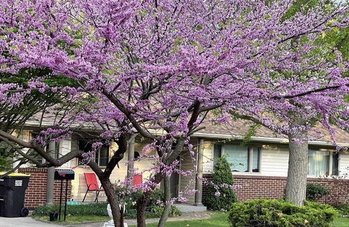 Jonesville House | Lovely home in quiet neighborhood