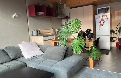 Te Aro Apartment | Lovely Inner City Apartment Te Aro, Wellingtonn