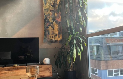Te Aro Apartment | Lovely Inner City Apartment Te Aro, Wellingtonn