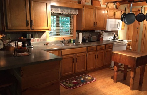 Warm Springs Cabin | Lovely Log Home is surrounded by Roosevelt State Park & near Callaway Gardens!