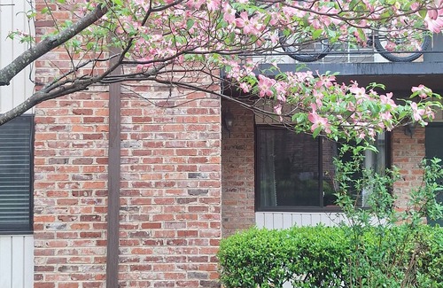 Downtown Knoxville Apartment | Lovely Lower-Level 2-bedroom apartment close to UT and medical facilities.