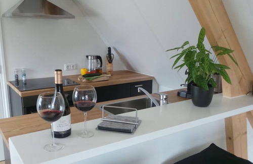 Municipality of Wijdemeren Apartment | Lovely new apartment, complete tranquility just 15 minutes from Amsterdam