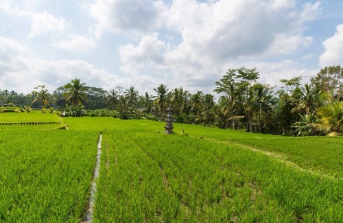 Kenderan Villa | Lovely Private Pool Villa overlooking the stunning rice paddies