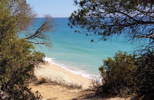 Alfa-Mar Apartment | Lovely Studio Marta 5 min walking to famous Falesia Beach