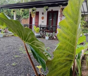 Dickwella House | Lovers Gem Villa Hiriketiya