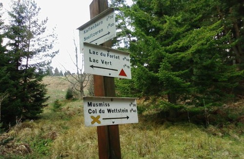 Hohrodberg Apartment | Lovingly furnished attic vacation apartment in Vosges house (up to 4 people maximum)