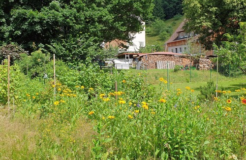 Alpirsbach Apartment | Lovingly furnished guest apartments Alpirsbach - Apartment 1
